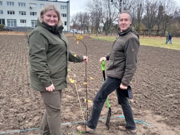 Kolejny sad w ramach projektu 